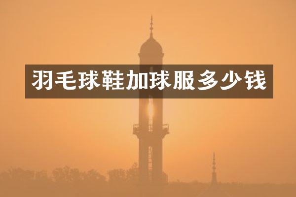 羽毛球鞋加球服多少钱