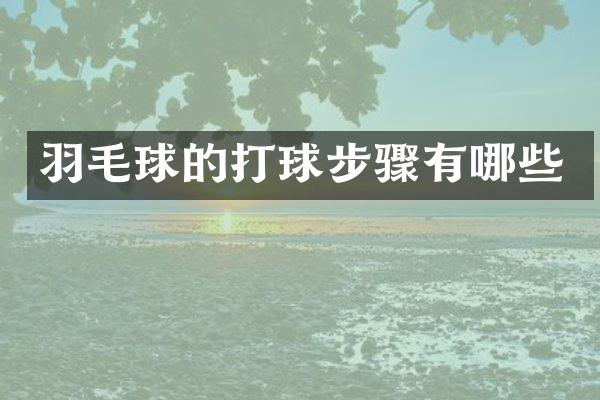 羽毛球的打球步骤有哪些