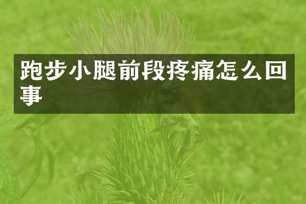 跑步小腿前段疼痛怎么回事
