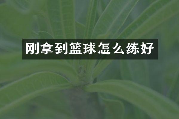 刚拿到篮球怎么练好