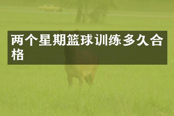 两个星期篮球训练多久合格