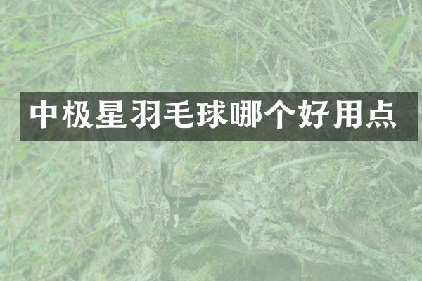 中极星羽毛球哪个好用点