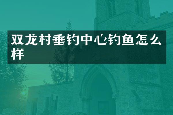 双龙村垂钓中心钓鱼怎么样
