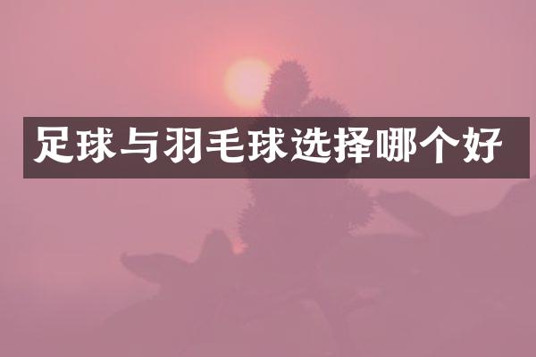 足球与羽毛球选择哪个好