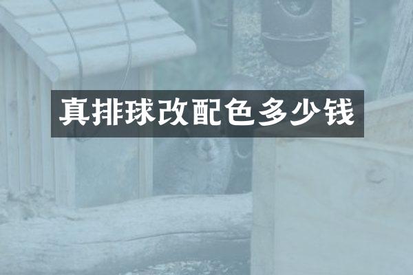 真排球改配色多少钱