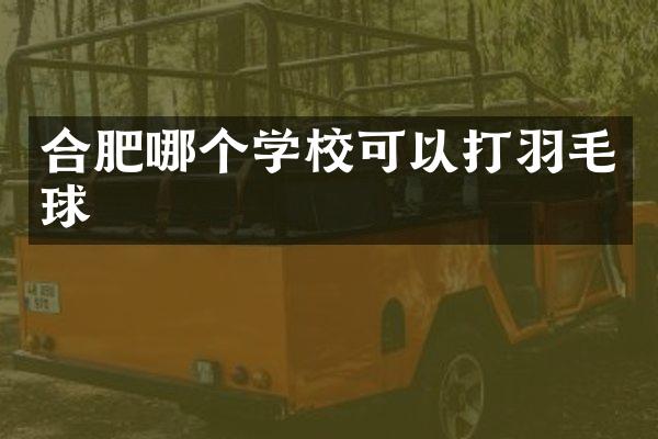 合肥哪个学校可以打羽毛球