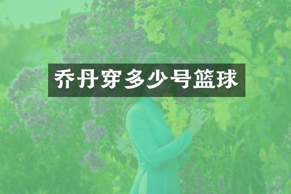 乔丹穿多少号篮球