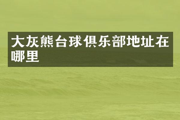 大灰熊台球俱乐部地址在哪里