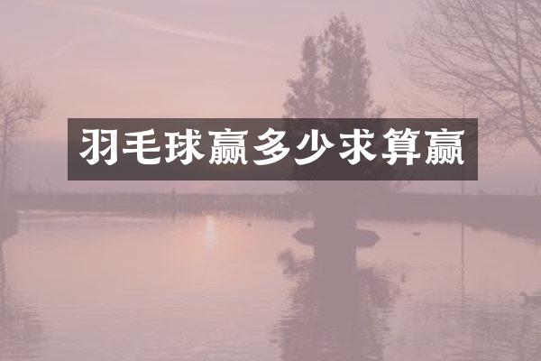 羽毛球赢多少求算赢