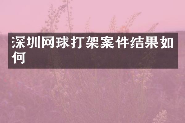 深圳网球打架案件结果如何