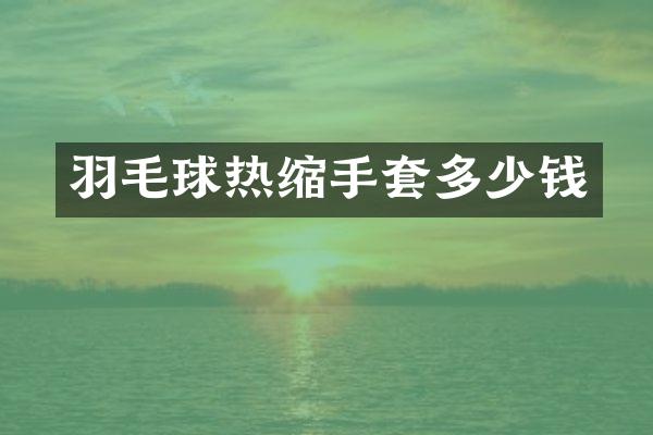 羽毛球热缩手套多少钱
