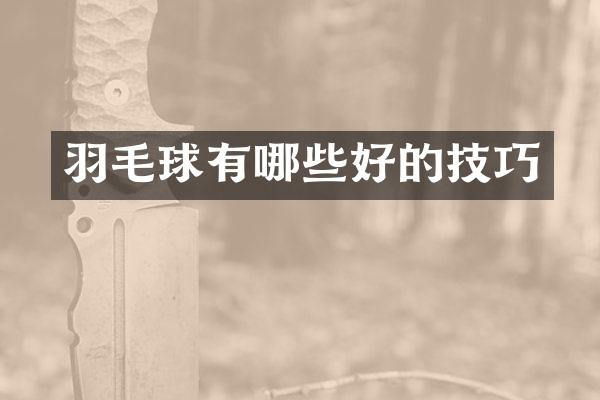 羽毛球有哪些好的技巧