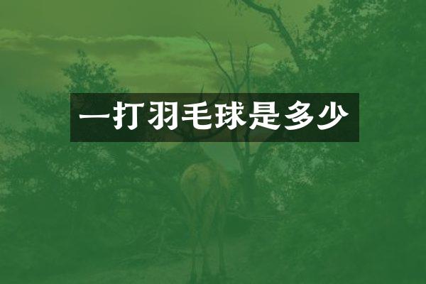一打羽毛球是多少