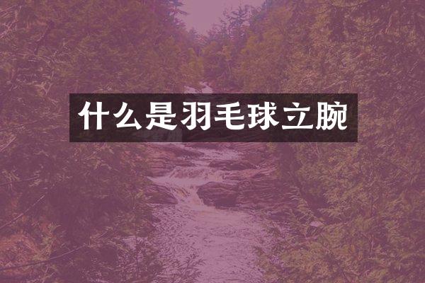 什么是羽毛球立腕