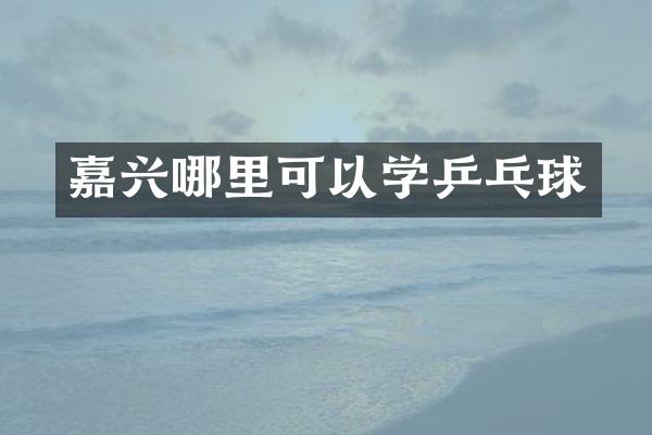 嘉兴哪里可以学乒乓球