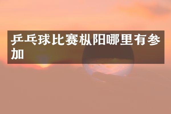 乒乓球比赛枞阳哪里有参加