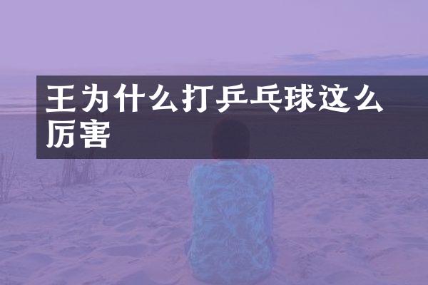 王濛为什么打乒乓球这么厉害