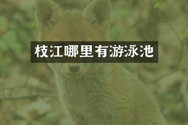 枝江哪里有游泳池