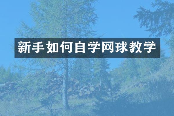 新手如何自学网球教学