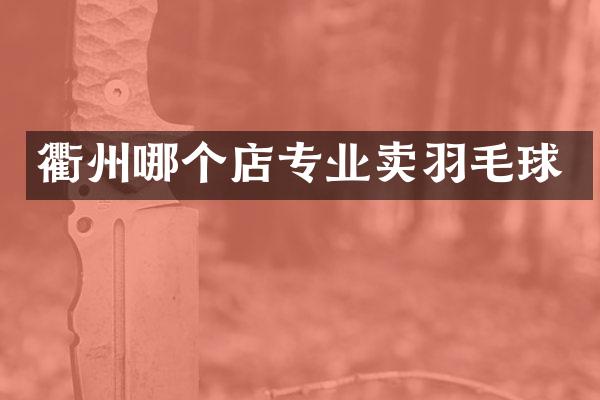 衢州哪个店专业卖羽毛球