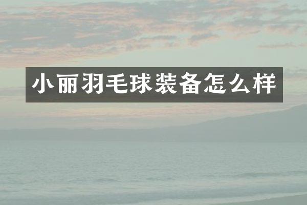 小丽羽毛球装备怎么样