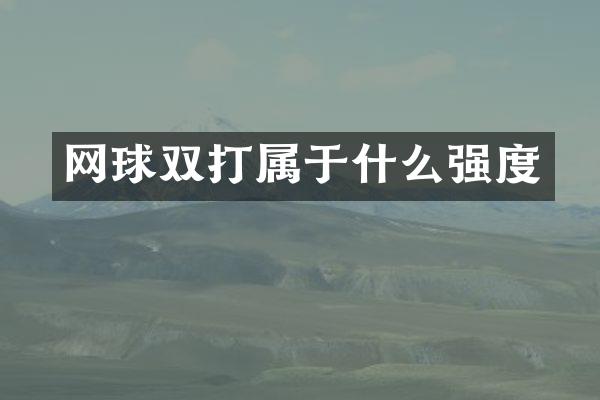 网球双打属于什么强度