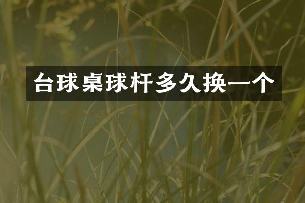 台球桌球杆多久换一个