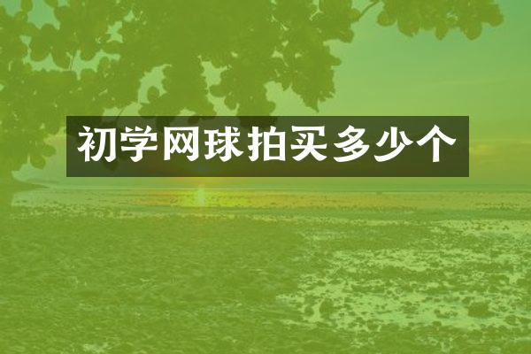 初学网球拍买多少个