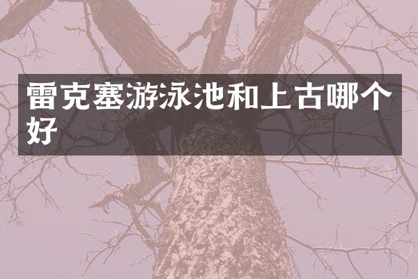 雷克塞游泳池和上古哪个好