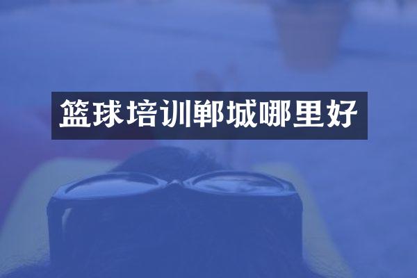 篮球培训郸城哪里好