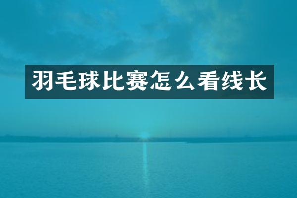 羽毛球比赛怎么看线长