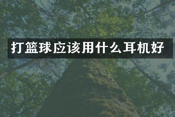打篮球应该用什么耳机好