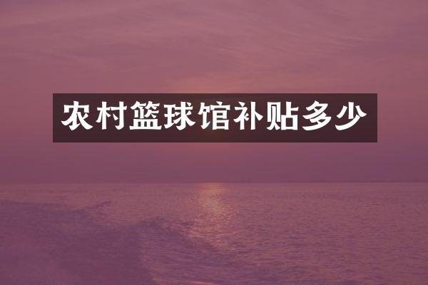 农村篮球馆补贴多少