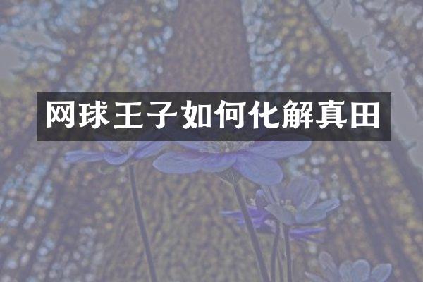 网球王子如何化解真田