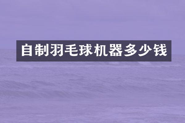 自制羽毛球机器多少钱