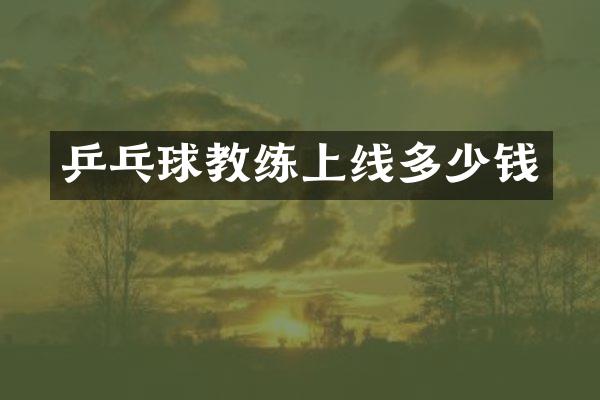 乒乓球教练上线多少钱