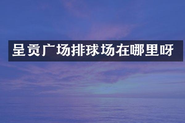 呈贡广场排球场在哪里呀