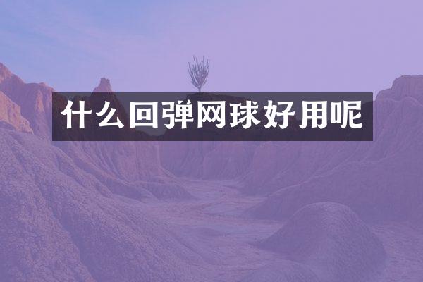 什么回弹网球好用呢