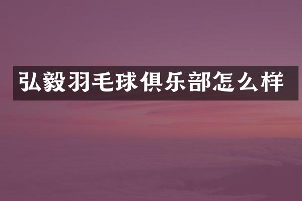 弘毅羽毛球俱乐部怎么样