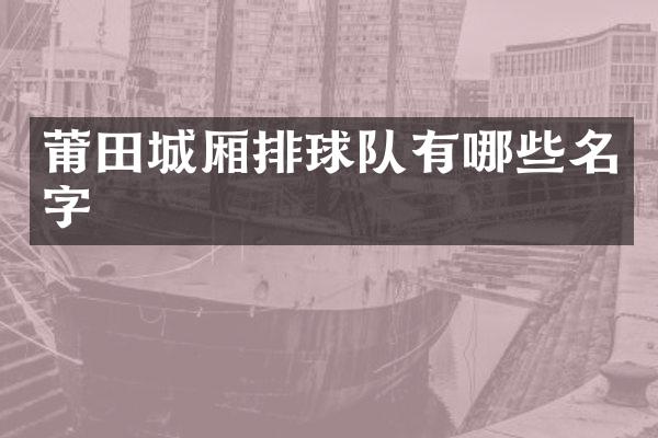 莆田城厢排球队有哪些名字