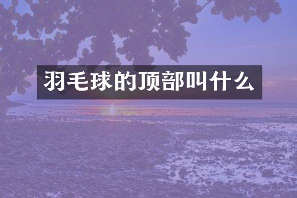 羽毛球的顶部叫什么