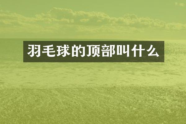 羽毛球的顶部叫什么