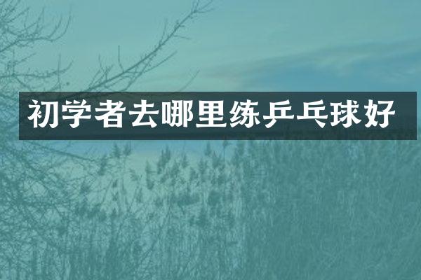 初学者去哪里练乒乓球好
