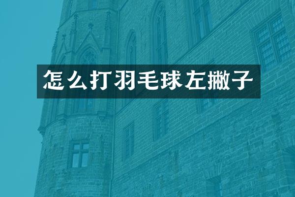 怎么打羽毛球左撇子