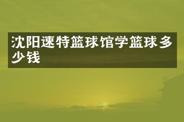 沈阳速特篮球馆学篮球多少钱