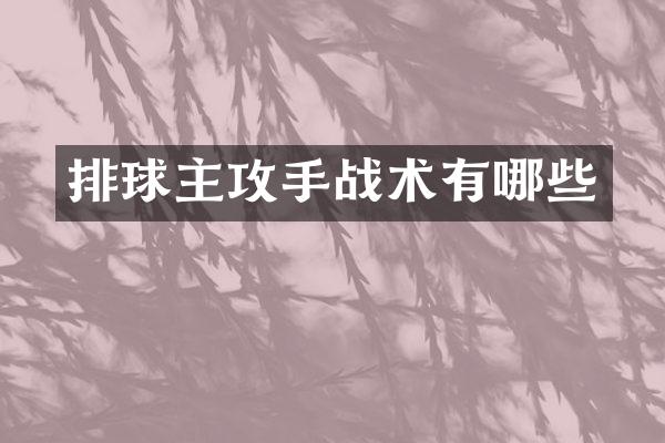 排球主攻手战术有哪些