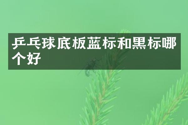 乒乓球底板蓝标和黑标哪个好