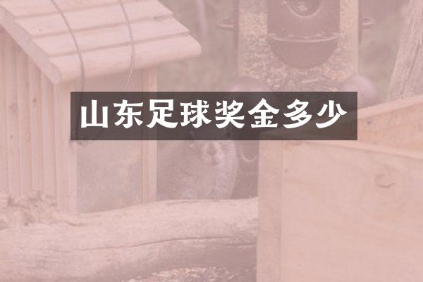 山东足球奖金多少