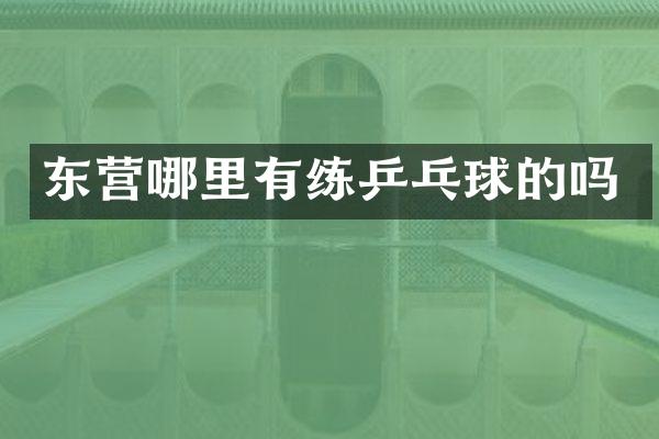 东营哪里有练乒乓球的吗