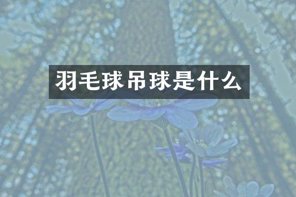 羽毛球吊球是什么
